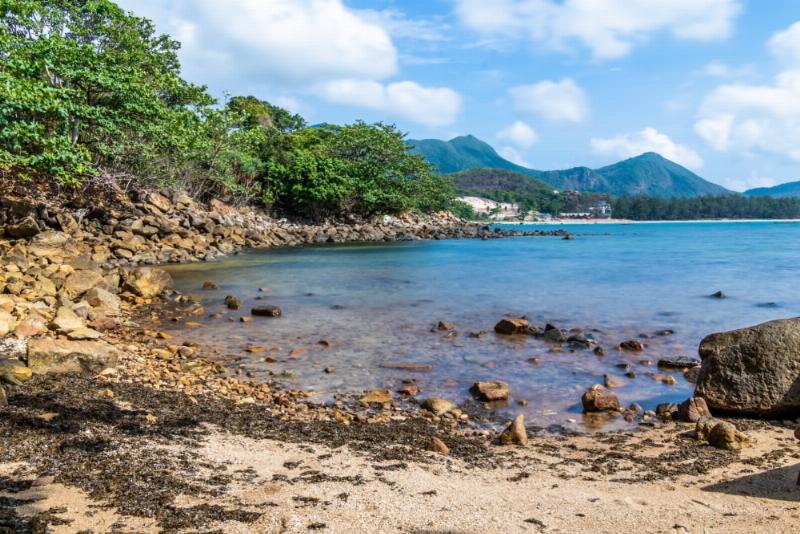 Người phụ nữ đang đặt vé tàu siêu tốc Sài Gòn Vũng Tàu trực tuyến trên điện thoại