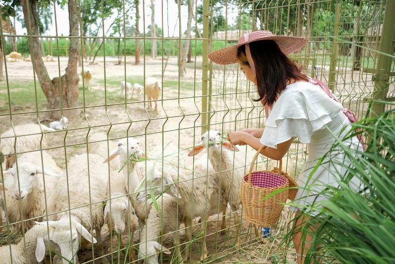 Du lịch Vũng Tàu với nhiều địa điểm hấp dẫn, phù hợp với nhiều đối tượng khách du lịch.