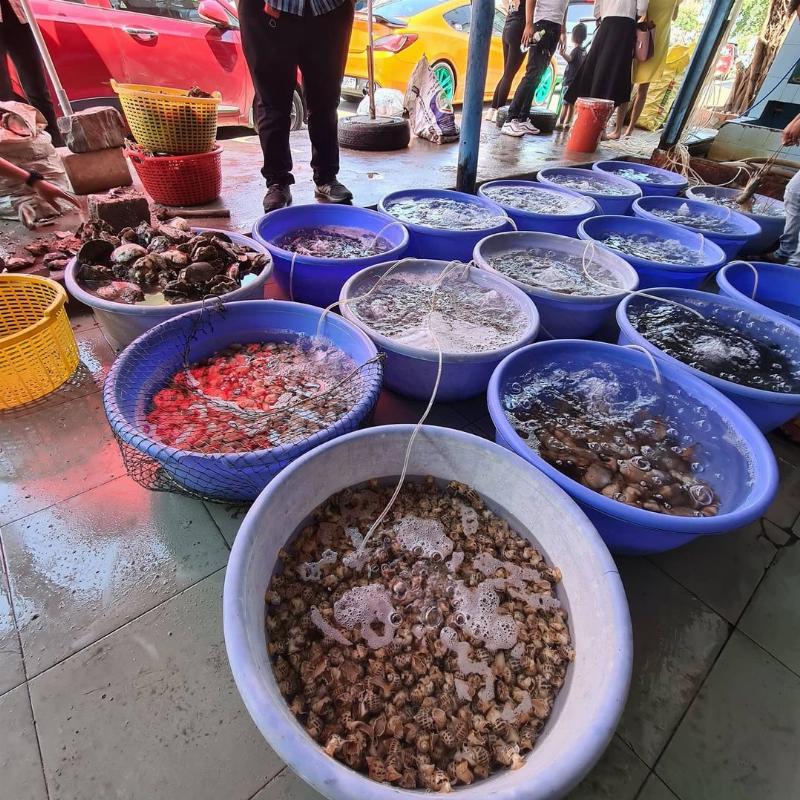 Du Lịch Vũng Tàu Gia Đình: Thưởng thức hải sản tươi ngon và các món đặc sản