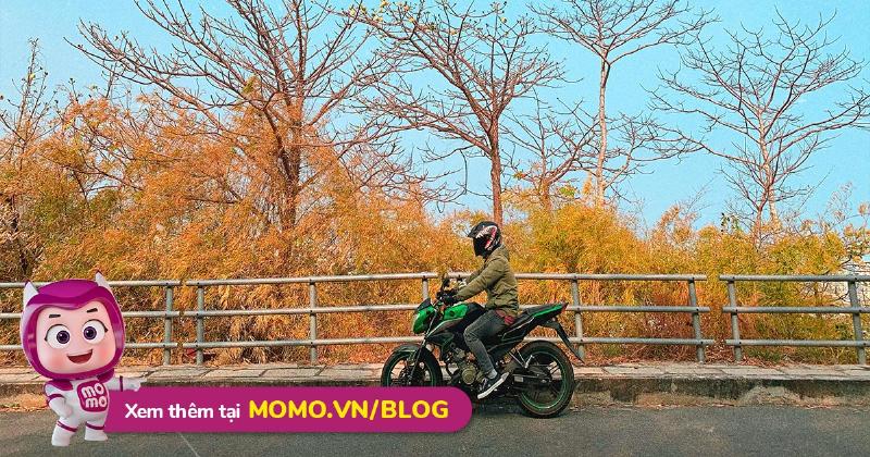 Du lịch Vũng Tàu 1 ngày phương tiện di chuyển thuận tiện