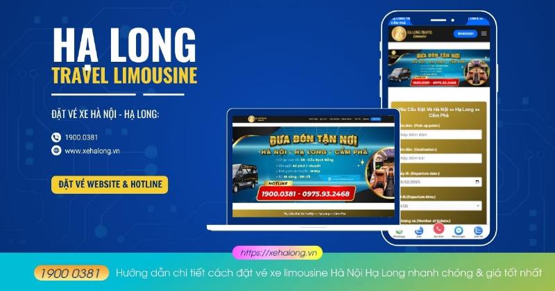 Hướng dẫn chi tiết cách đặt vé xe Hoa Mai Limousine trực tuyến nhanh chóng và dễ dàng