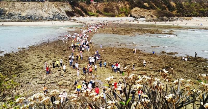 Tàu ngầm du lịch Vũng Tàu, khám phá đáy biển