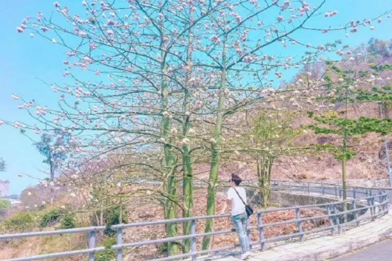 Thuê xe tự lái Bình Phước đi Vũng Tàu giá rẻ