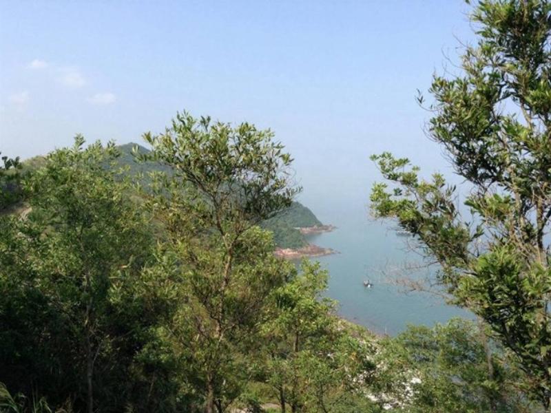 Biển Vũng Tàu xanh ngát với bờ cát trắng mịn dưới ánh nắng mặt trời